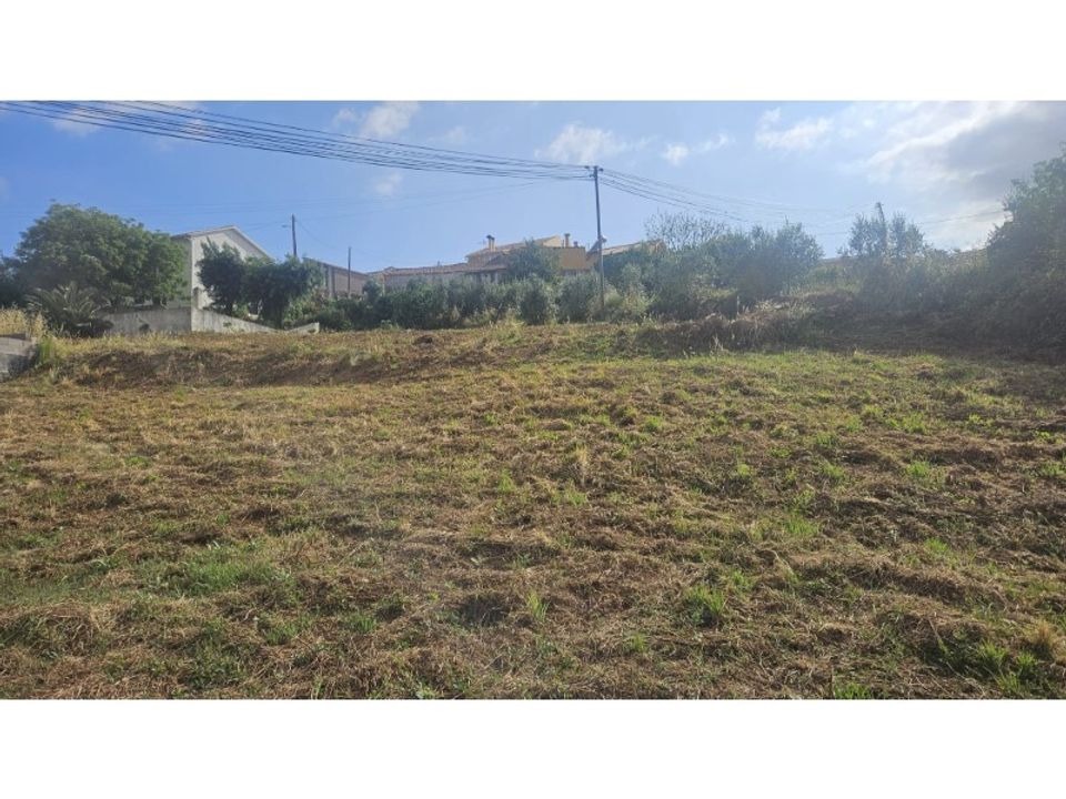 Helårsgrund i Alcobaca, Leiria - foto 4