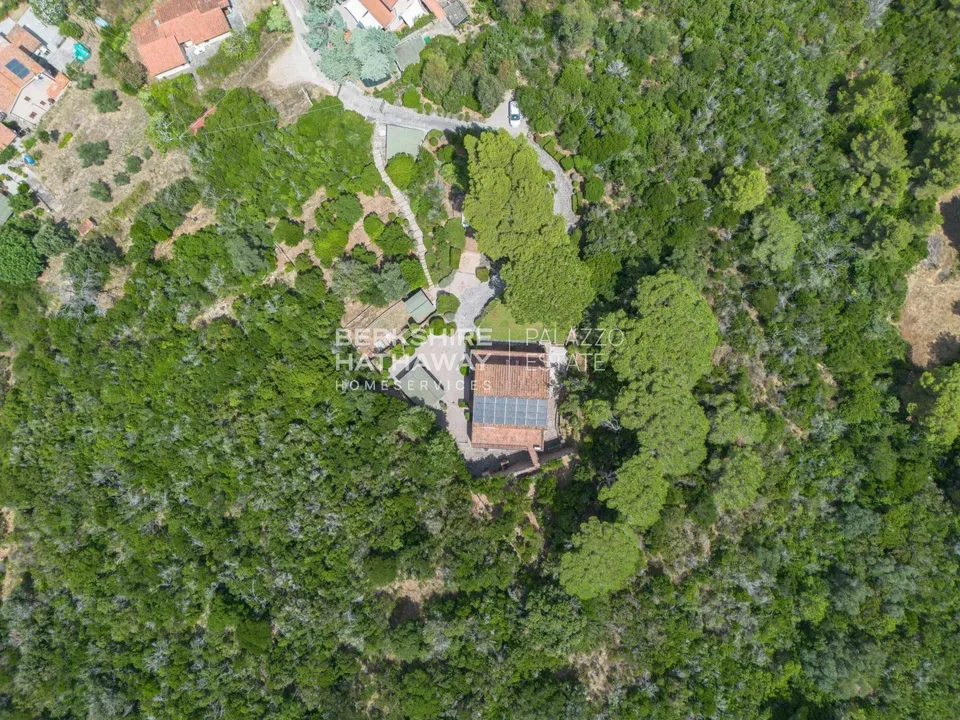Villa i Campo Nell'Elba, Livorno - foto 5