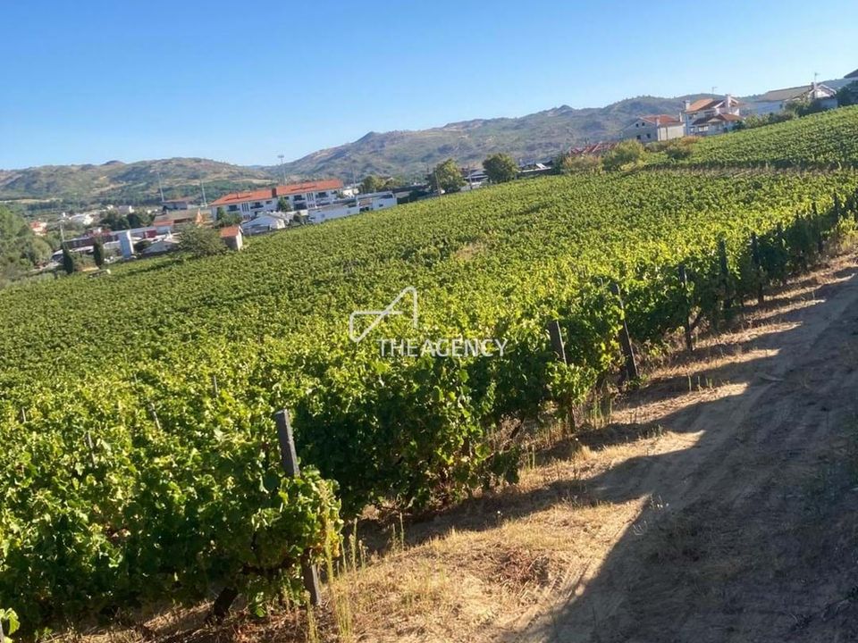 Helårsgrund i Alijo, Vila Real - foto 1