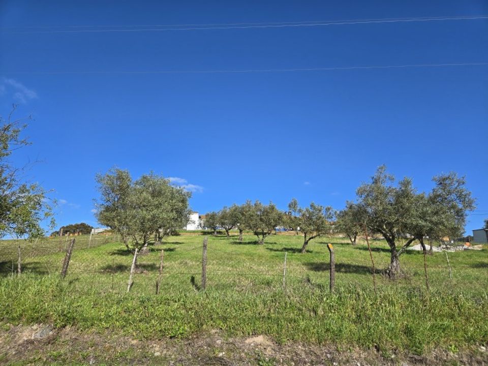 Helårsgrund i Santiago Maior, Evora - foto 1