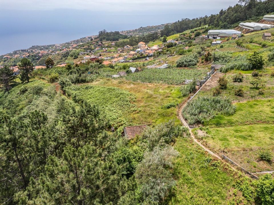 Helårsgrund i Ponta do Sol, Madeira - foto 3