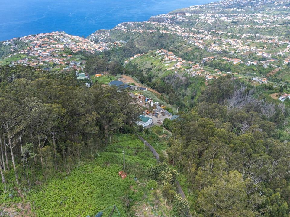 Helårsgrund i Calheta, Madeira - foto 3