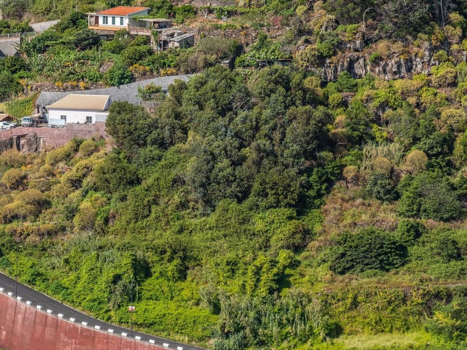 Helårsgrund i Santa Cruz, Madeira - foto 4