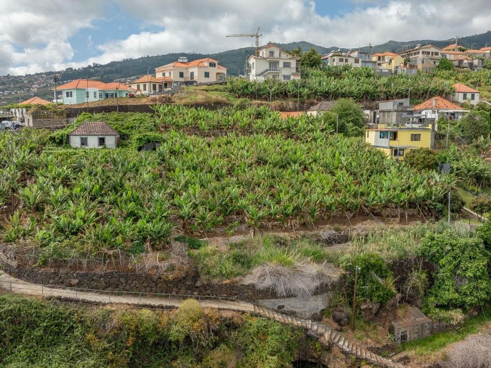 Helårsgrund i Calheta, Madeira - foto 3