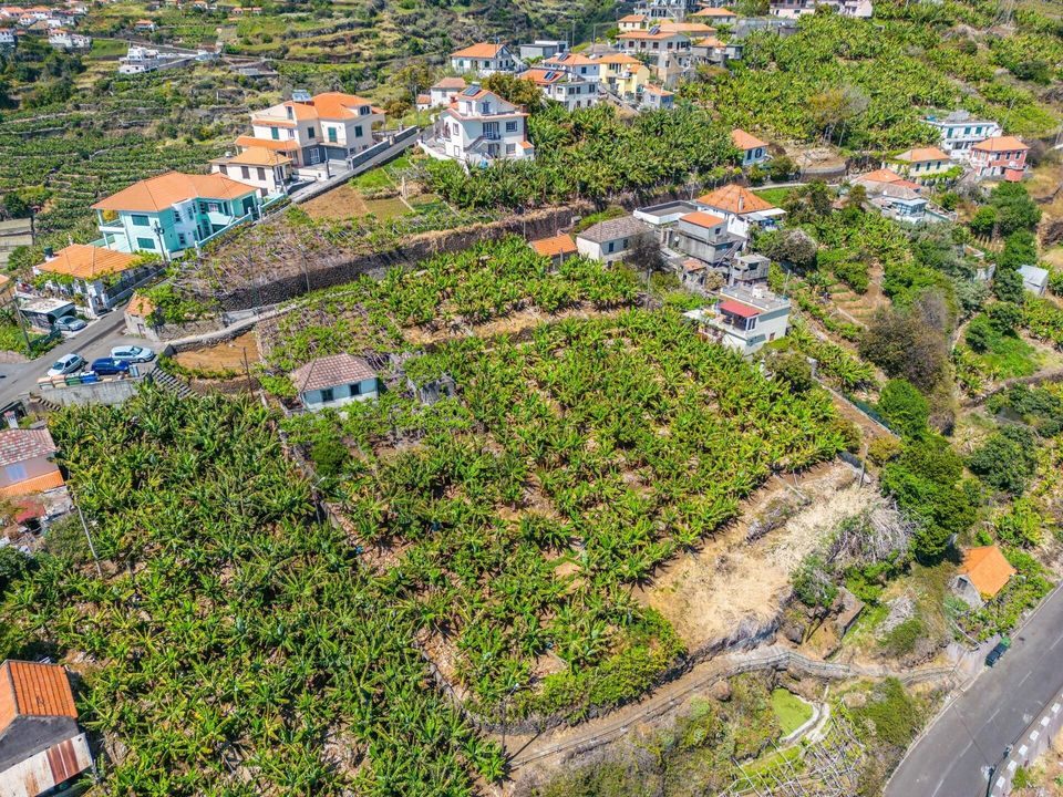 Helårsgrund i Calheta, Madeira - foto 4