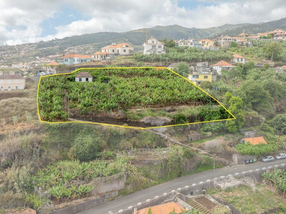 Helårsgrund i Calheta, Madeira - foto 5