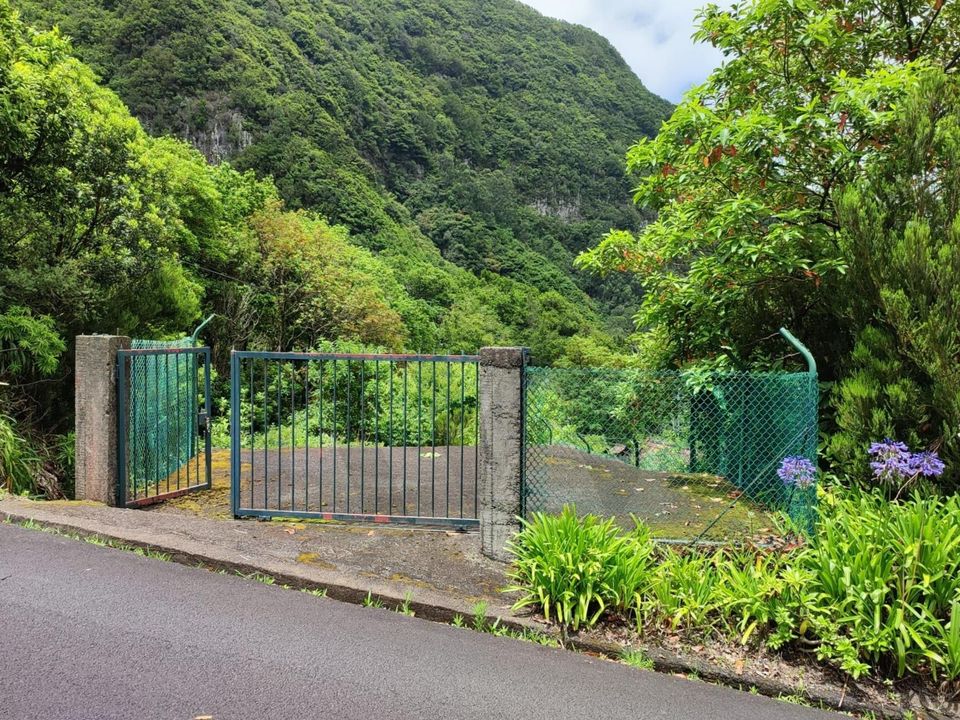 Tomt i Porto Moniz, Madeira - bilde 1