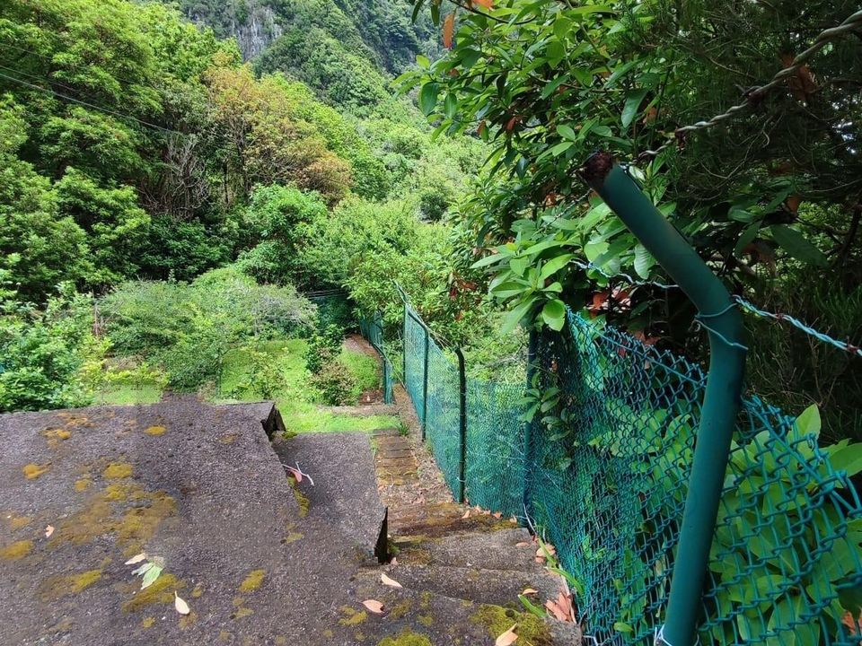 Tomt i Porto Moniz, Madeira - bilde 5