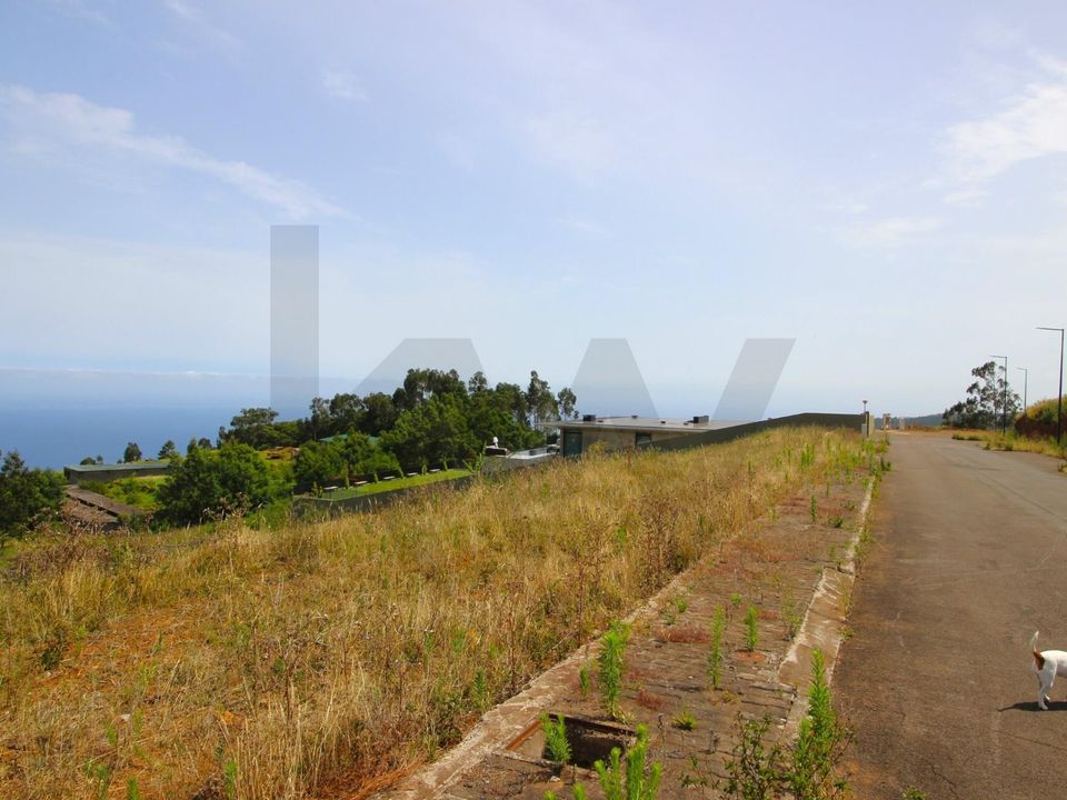 Helårsgrund i Santa Cruz, Madeira - foto 3