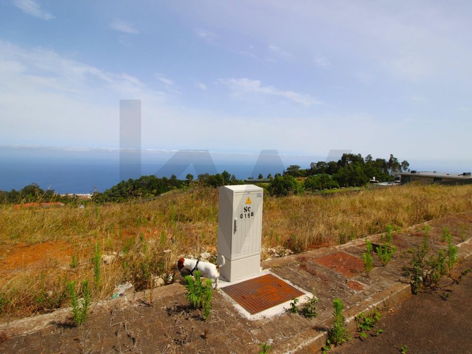 Helårsgrund i Santa Cruz, Madeira - foto 5