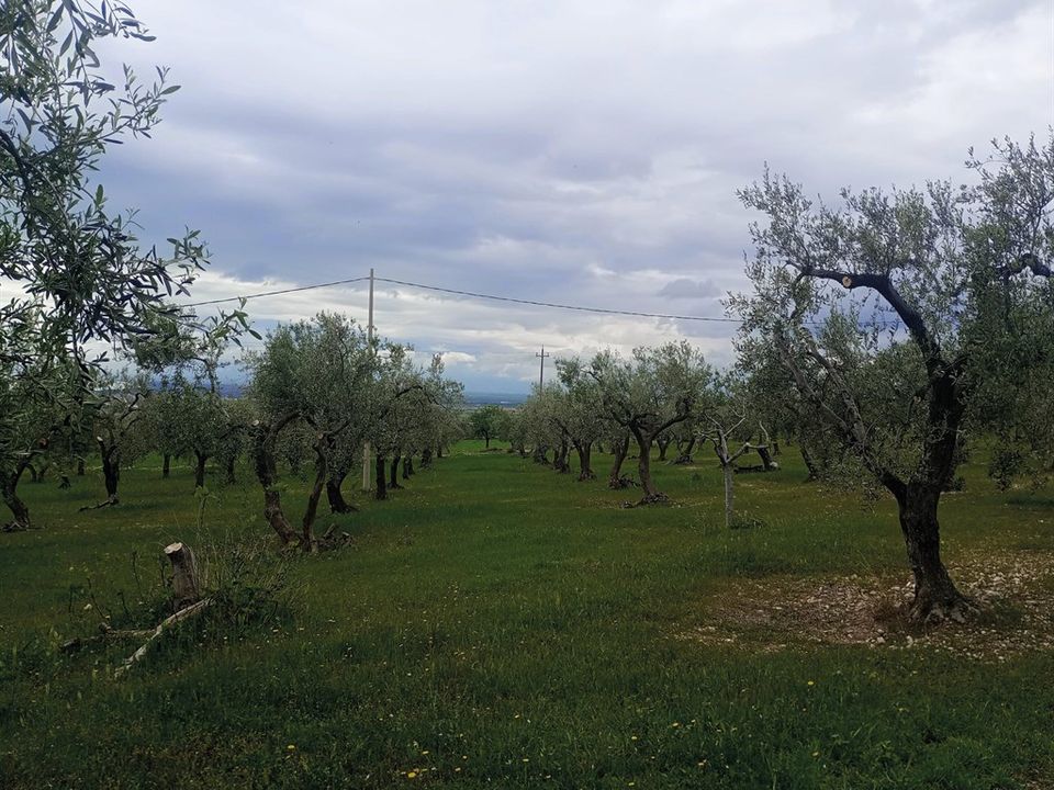 Landejendom i San Giovanni Rotondo, Foggia - foto 3