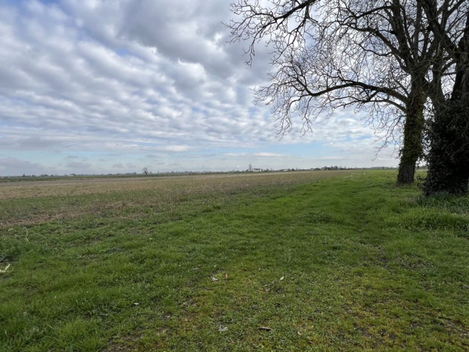 Helårsgrund i Boara Pisani, Padua - foto 3
