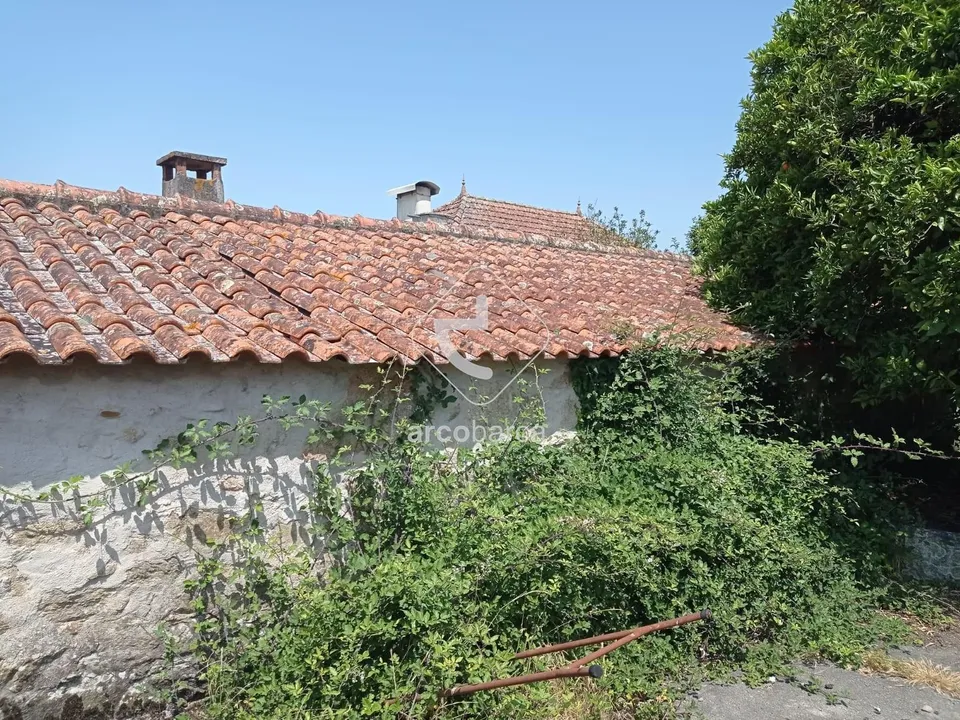 Farm i Valenca, Viana do Castelo - foto 3