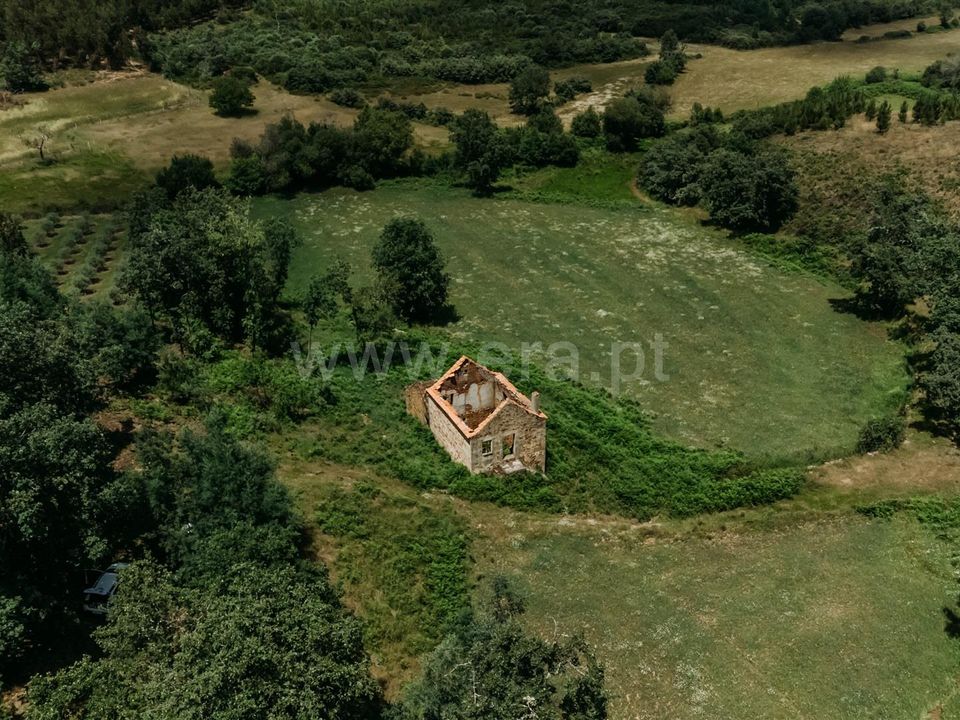 Farm i Seia, Guarda - foto 4