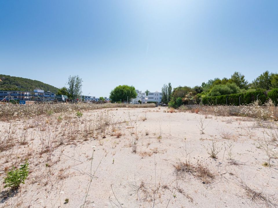 Terra a Port De Pollenca, Mallorca - foto 4