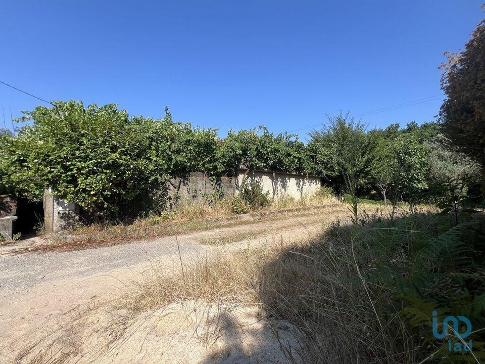 Byhus i Penela, Coimbra - foto 1