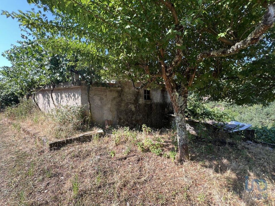Byhus i Penela, Coimbra - foto 2