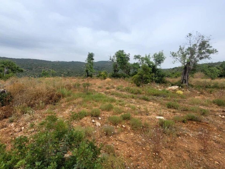 Byhus i Albufeira, Faro - foto 3