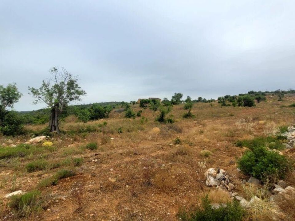 Byhus i Albufeira, Faro - foto 4