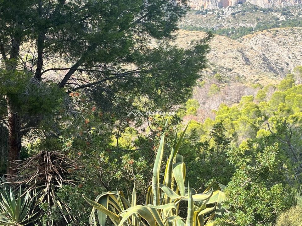 Terra a Altea, Alicante - foto 2