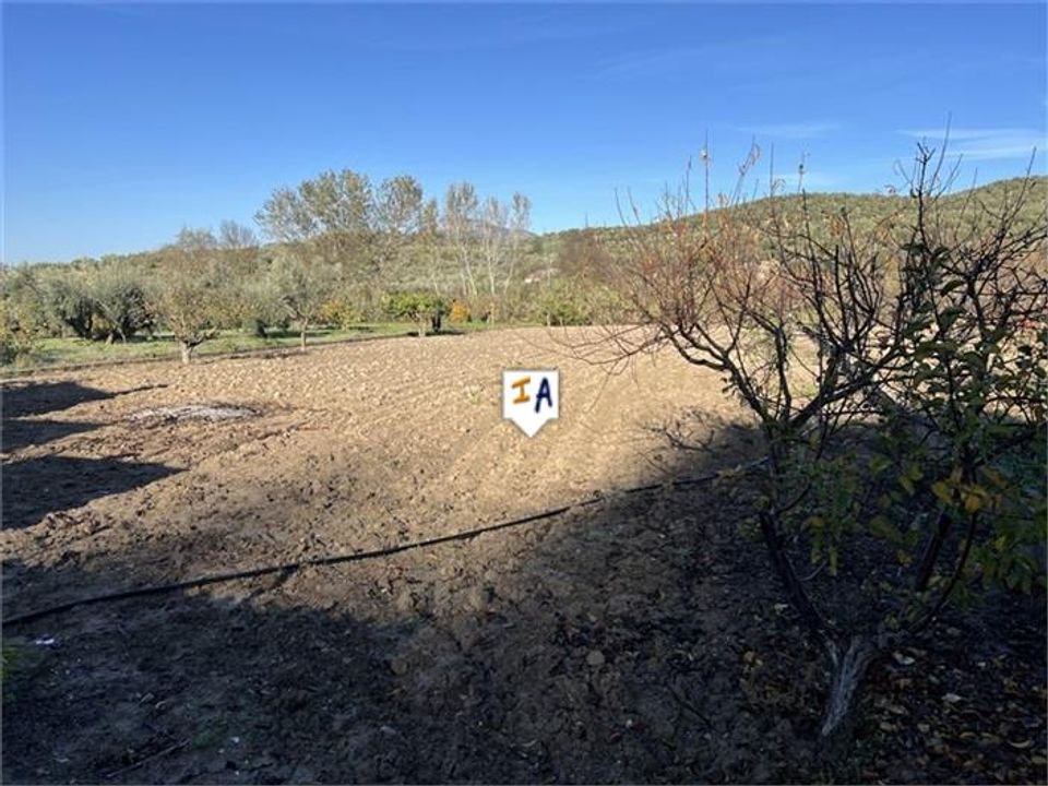 Cortijo i Castillo De Locubin, Jaen - foto 4