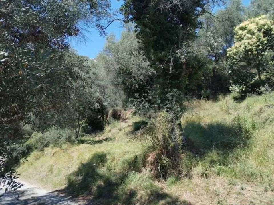 Tomt i Perinaldo, Imperia - foto 2
