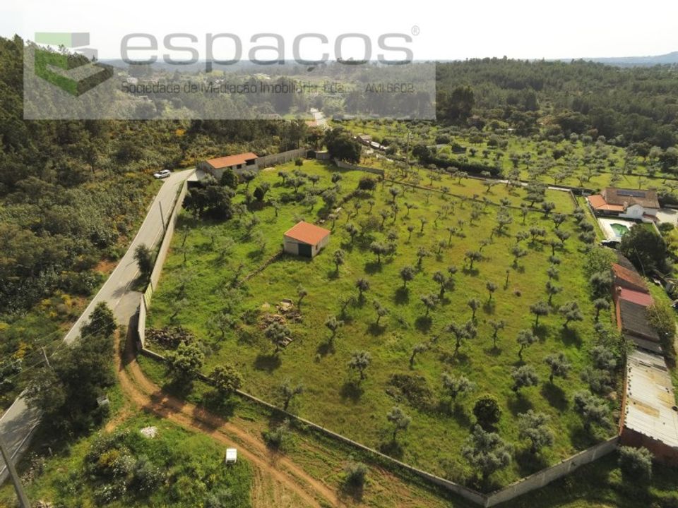 Farm i Castelo Branco, Castelo Branco - foto 3