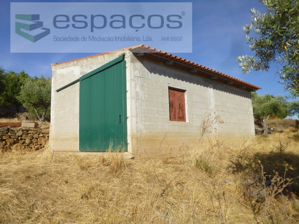 Farm i Castelo Branco, Castelo Branco - foto 2