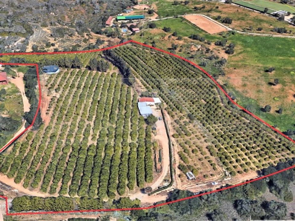 Villa i Armacao de Pera, Faro - foto 1