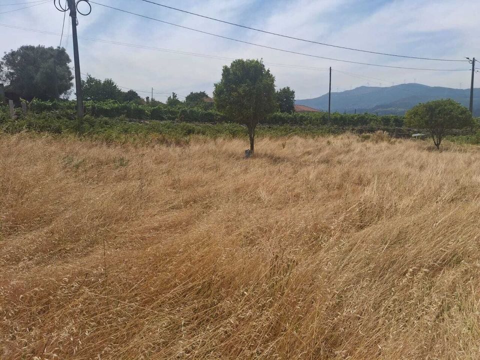 Tomt i Ceivaes e Badim, Viana do Castelo - bilde 1