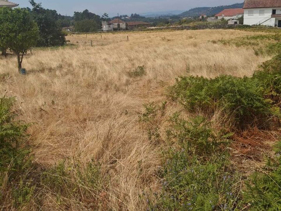 Tomt i Ceivaes e Badim, Viana do Castelo - bilde 3