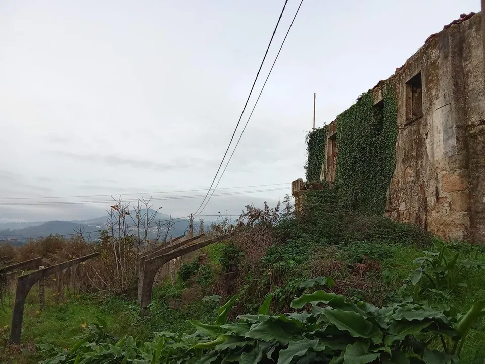 Farm i Bela, Viana do Castelo - foto 1
