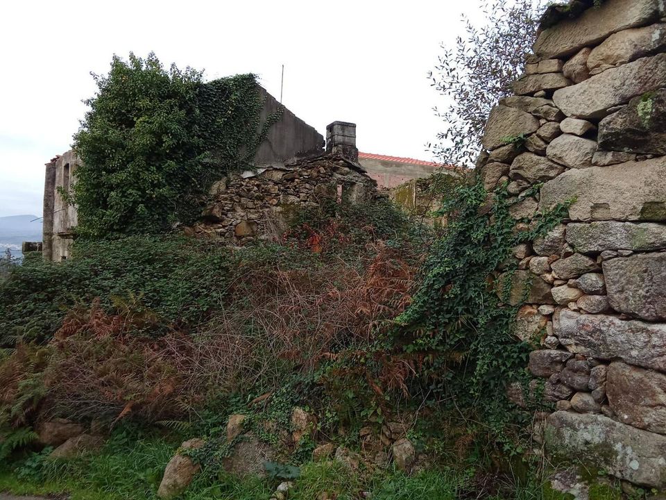 Farm i Bela, Viana do Castelo - foto 3
