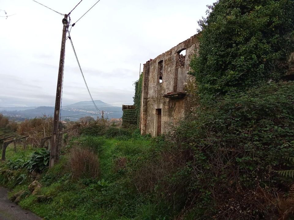 Farm i Bela, Viana do Castelo - foto 4