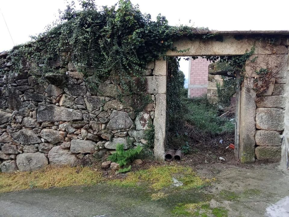 Farm i Bela, Viana do Castelo - foto 5