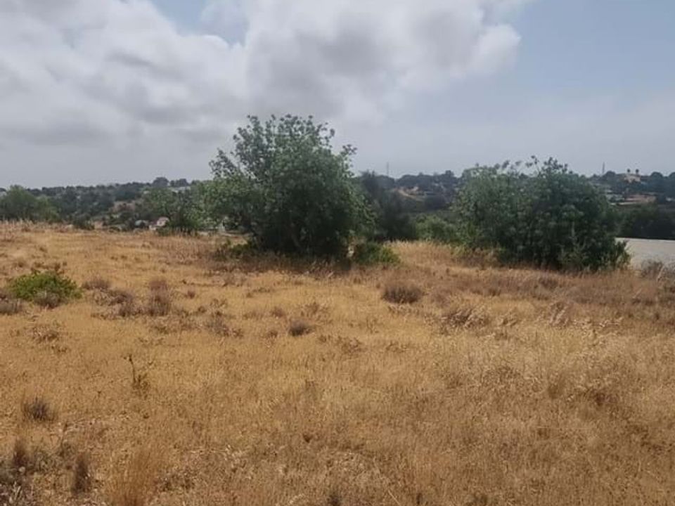 Helårsgrund i Lagoa, Faro - foto 3