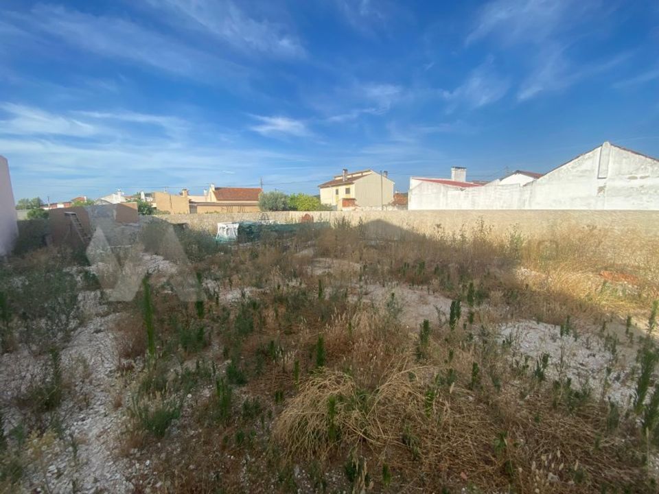 Helårsgrund i Alpiarca, Santarem - foto 4