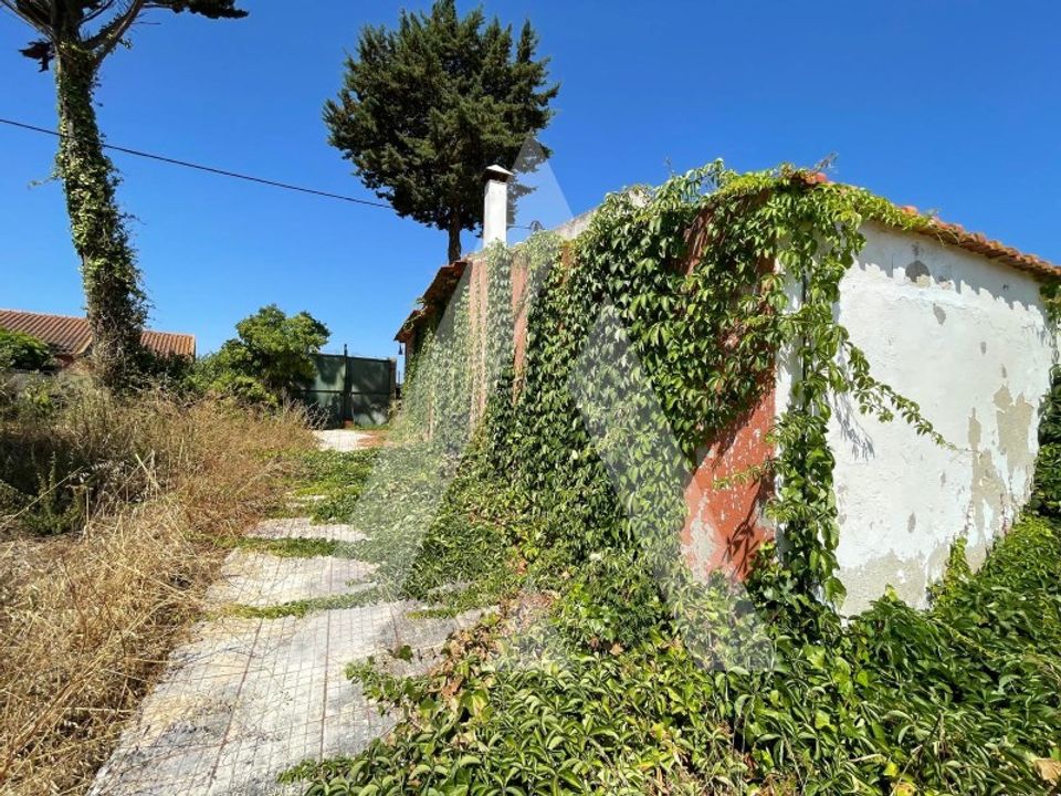 Farm i Pontevel, Santarem - foto 4
