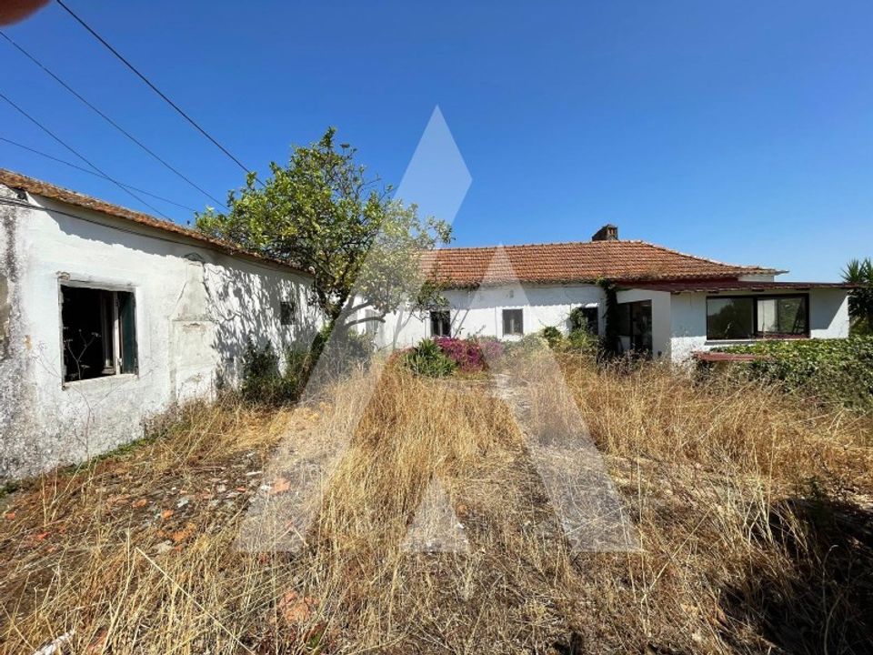 Farm i Pontevel, Santarem - foto 3