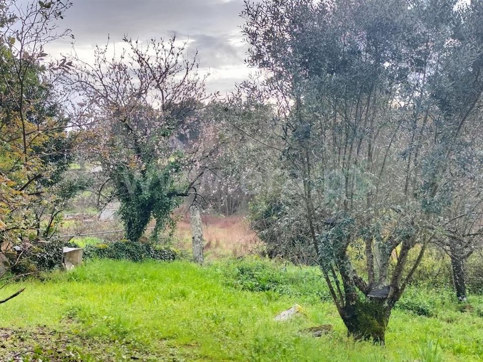 Landejendom i Mangualde, Viseu - foto 1