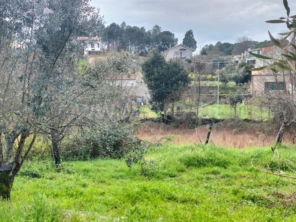 Landejendom i Mangualde, Viseu - foto 2