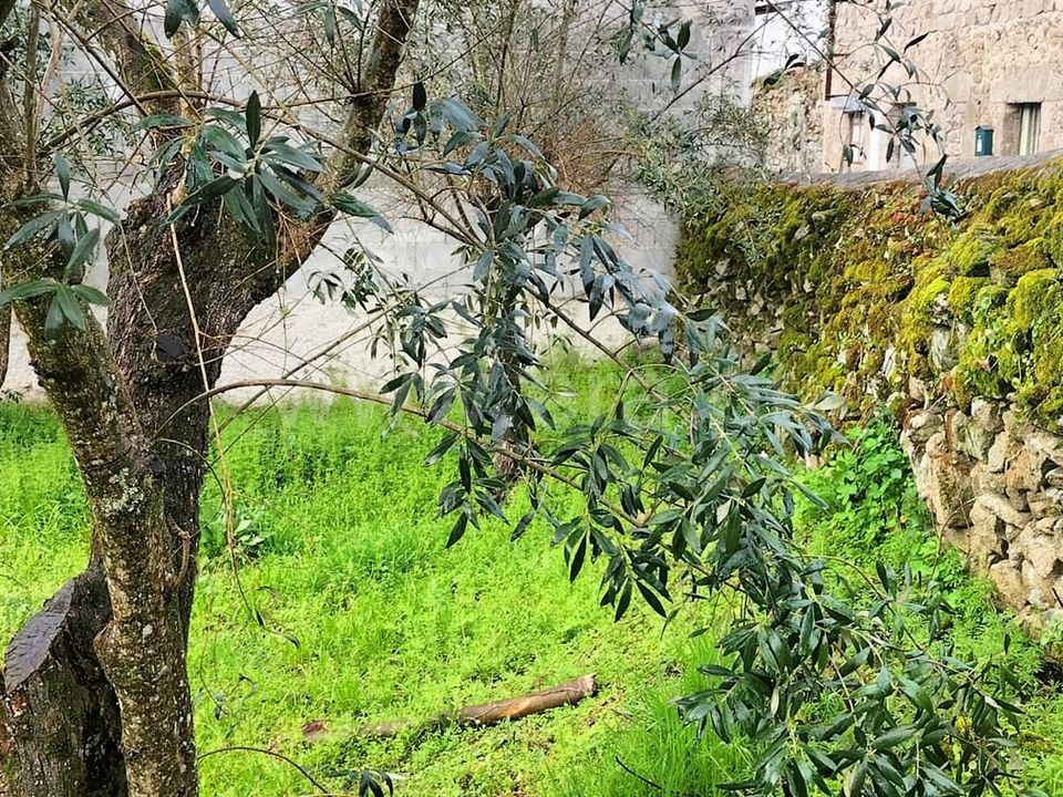 Landejendom i Mangualde, Viseu - foto 3
