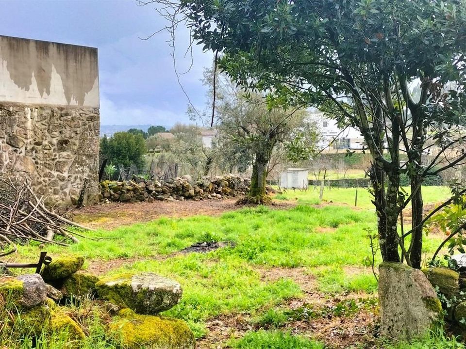Landejendom i Mangualde, Viseu - foto 4