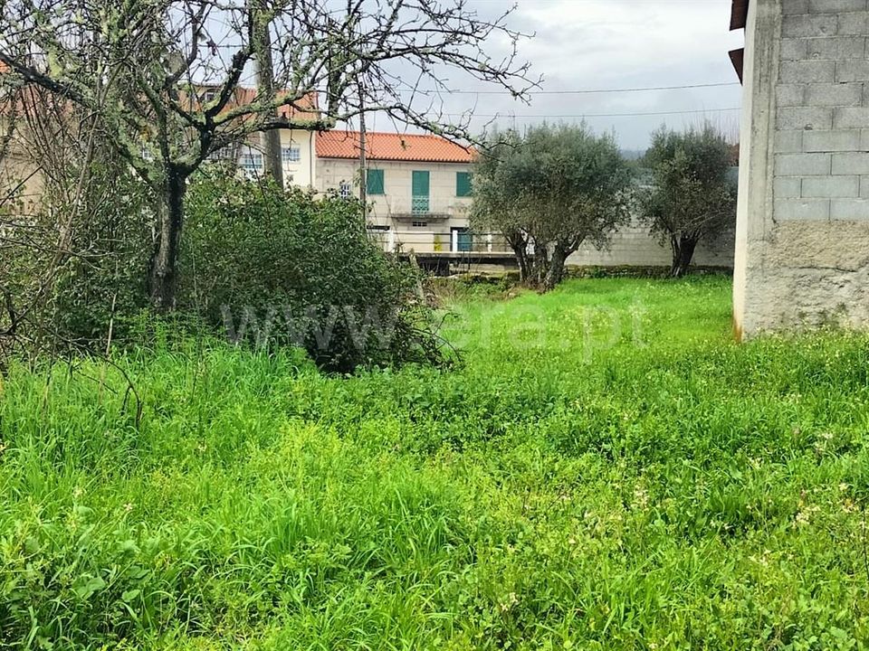 Landejendom i Mangualde, Viseu - foto 5