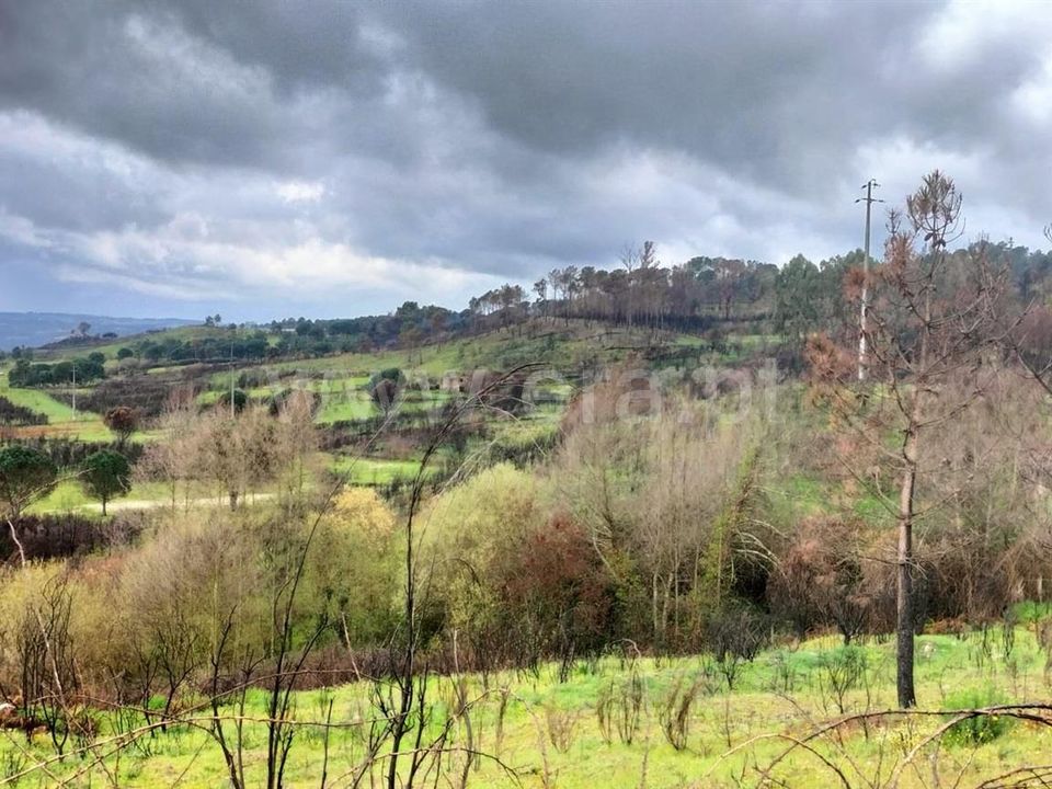 Landejendom i Mangualde, Viseu - foto 1