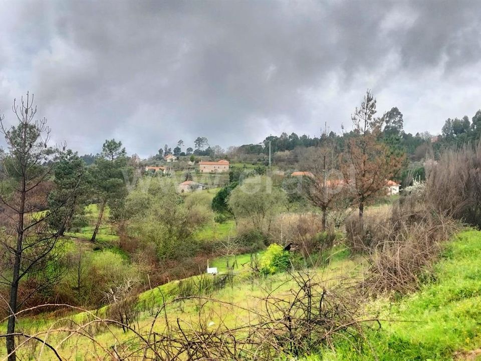 Landejendom i Mangualde, Viseu - foto 3