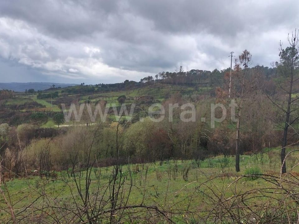 Landejendom i Mangualde, Viseu - foto 4