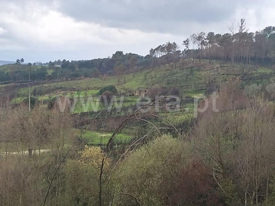 Landejendom i Mangualde, Viseu - foto 5