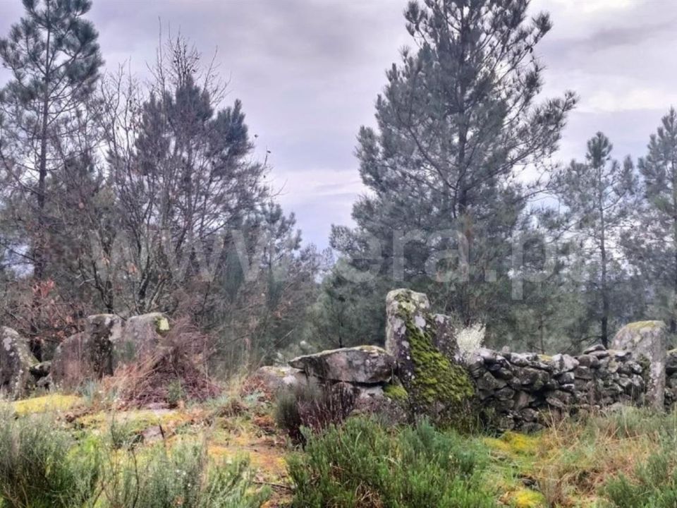 Erhvervsejendom i Mangualde, Viseu - foto 1