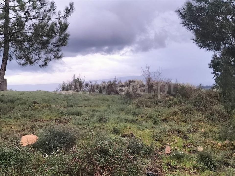 Erhvervsejendom i Mangualde, Viseu - foto 3